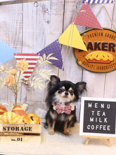 20240908アリューくん